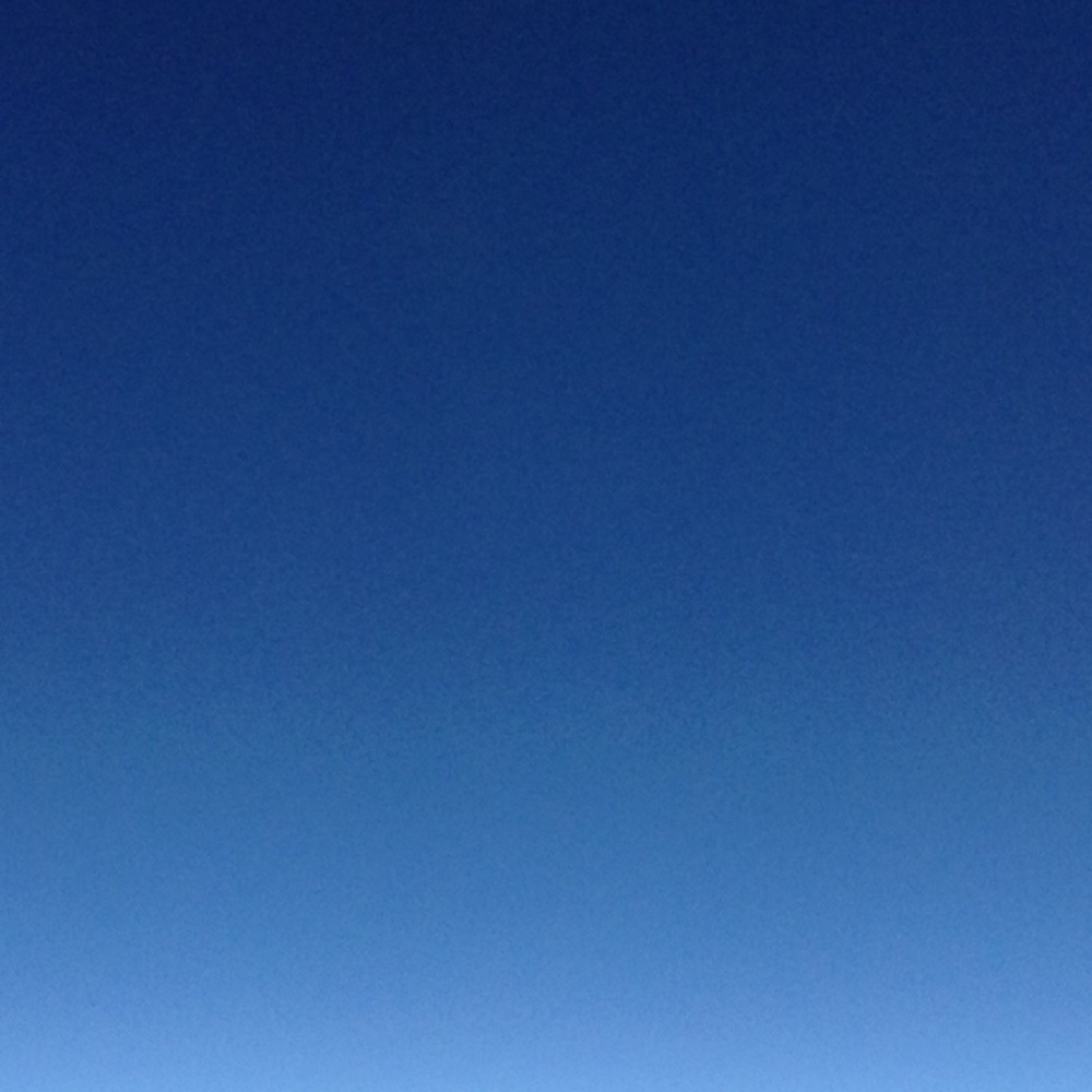 Meet your Posher, Lily